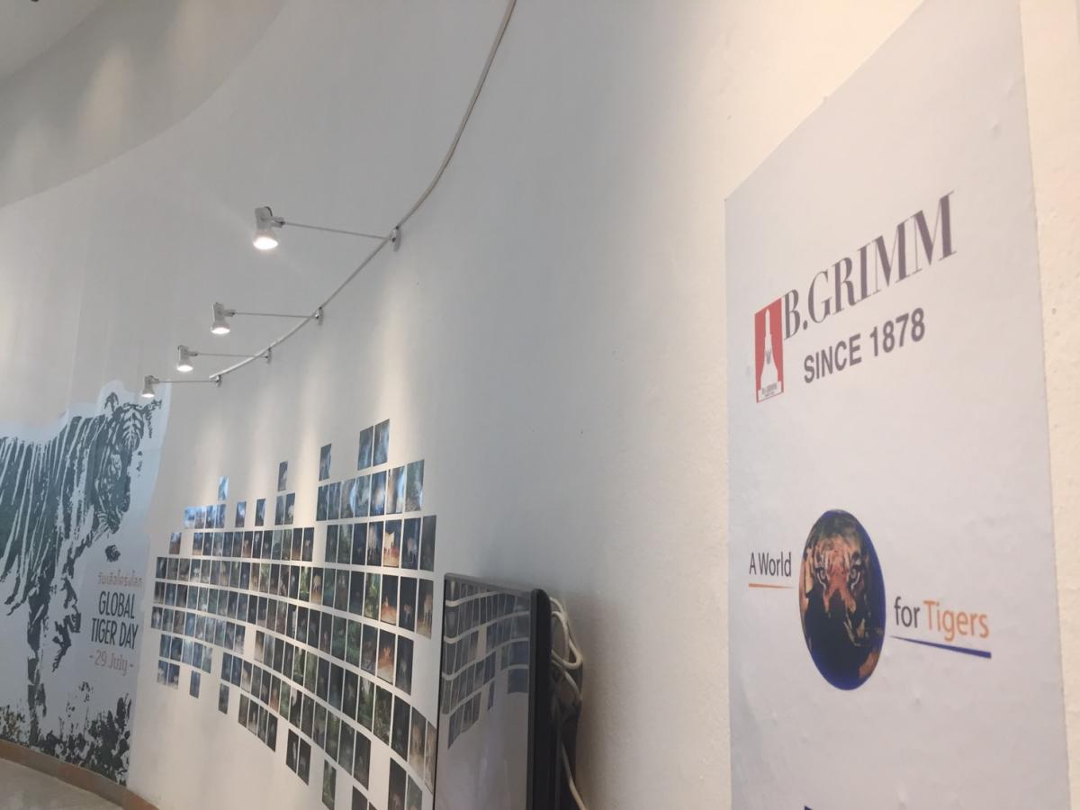 Ausstellung zum Tigerschutz am Bangkok Art and Culture Centre