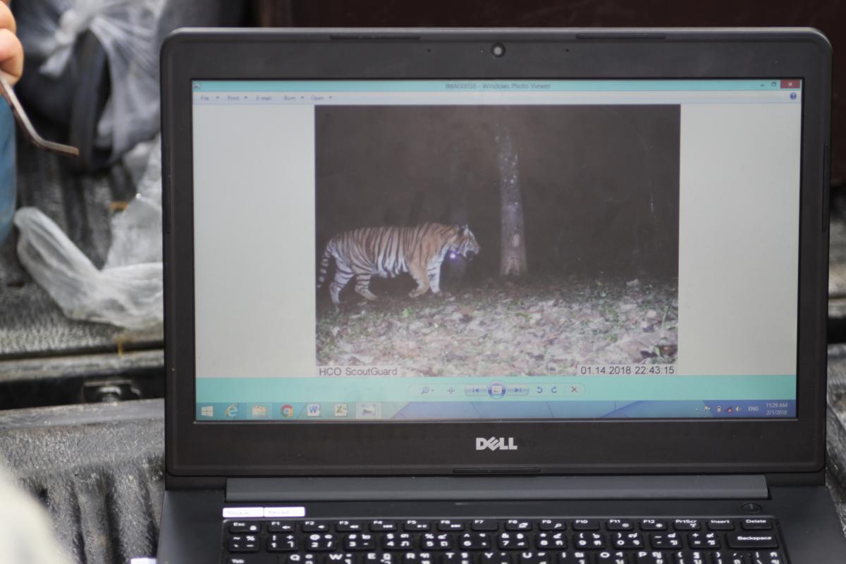  Assessing camera-trap photos