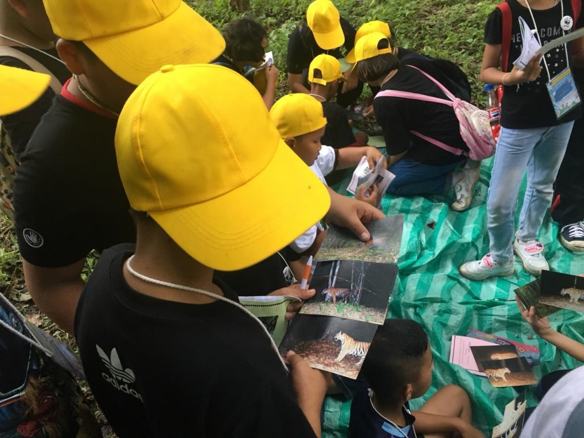  Tiger Youth Camp