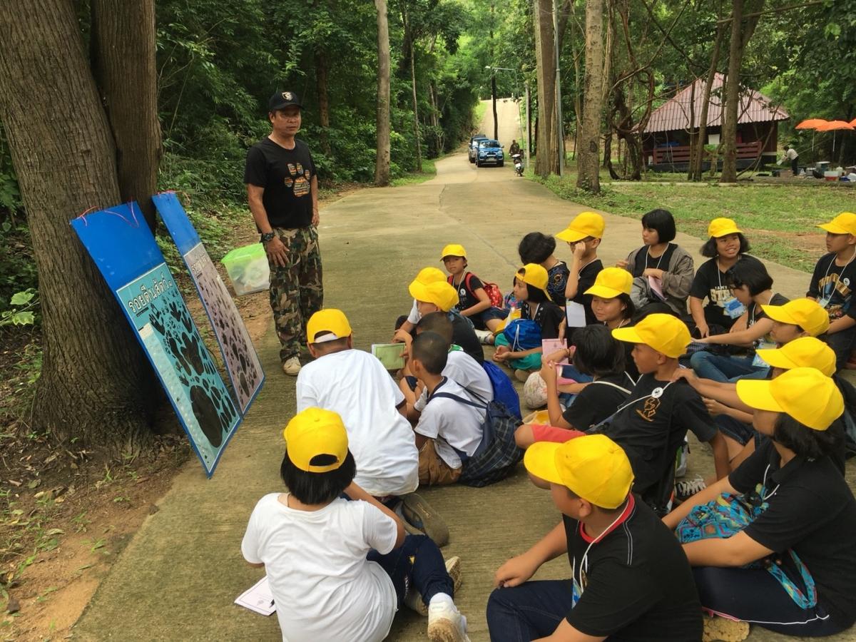 Tiger Youth Camp