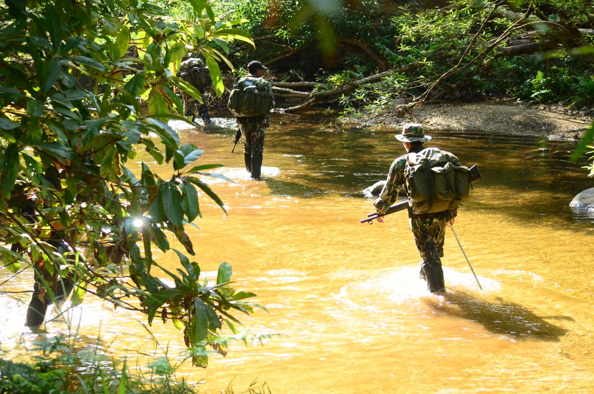 Patrol through the jungle