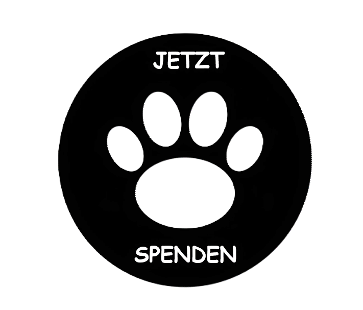Spendenbutton